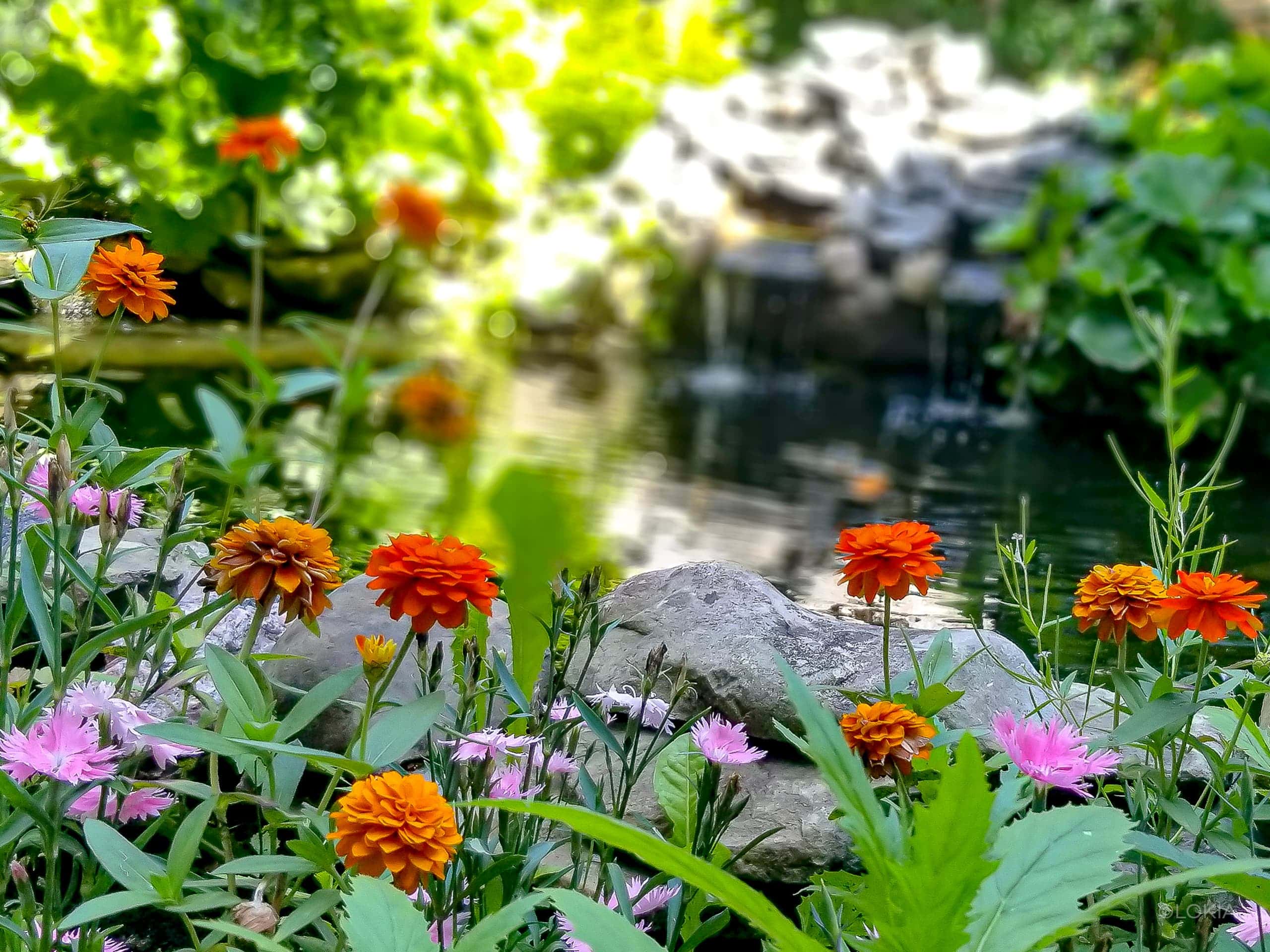 Lokia Le Pavillon Des Mille Fleurs